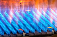 Gedling gas fired boilers